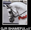 GJR Shameful +//